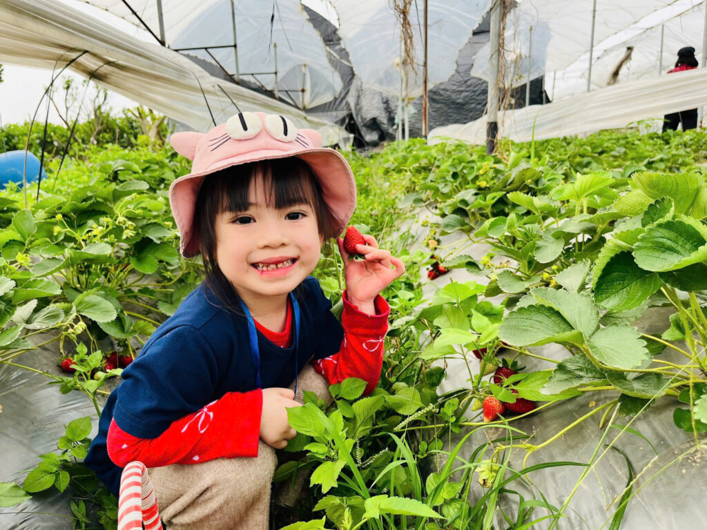 Giờ học tiếng Anh song ngữ tại mầm non FBK Lê Văn Lương